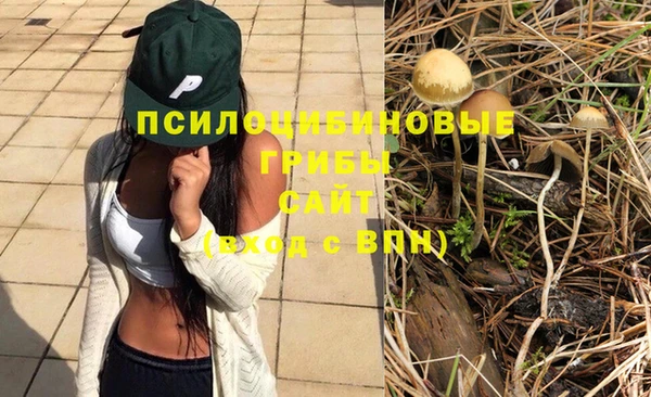 мяу мяу кристалл Алзамай