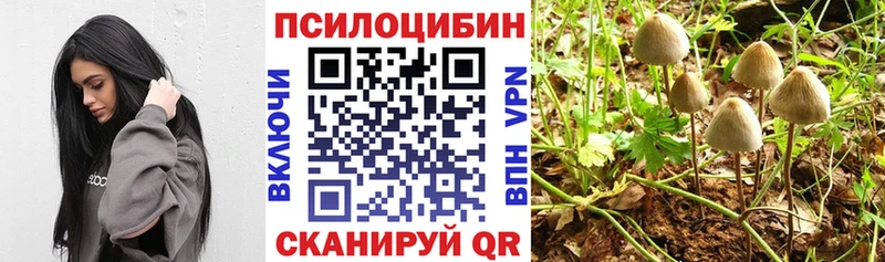 нарко площадка Telegram  Долгопрудный  Галлюциногенные грибы мицелий 